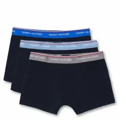 3p Trunk Wb 0t1 - Electric sublunarm