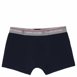 3p Trunk Wb 0t1 - Electric sublunarm