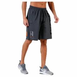 Pro mesh shorts Grey