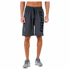 Pro mesh shorts Grey