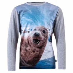 Rexol Seal Wink Grey