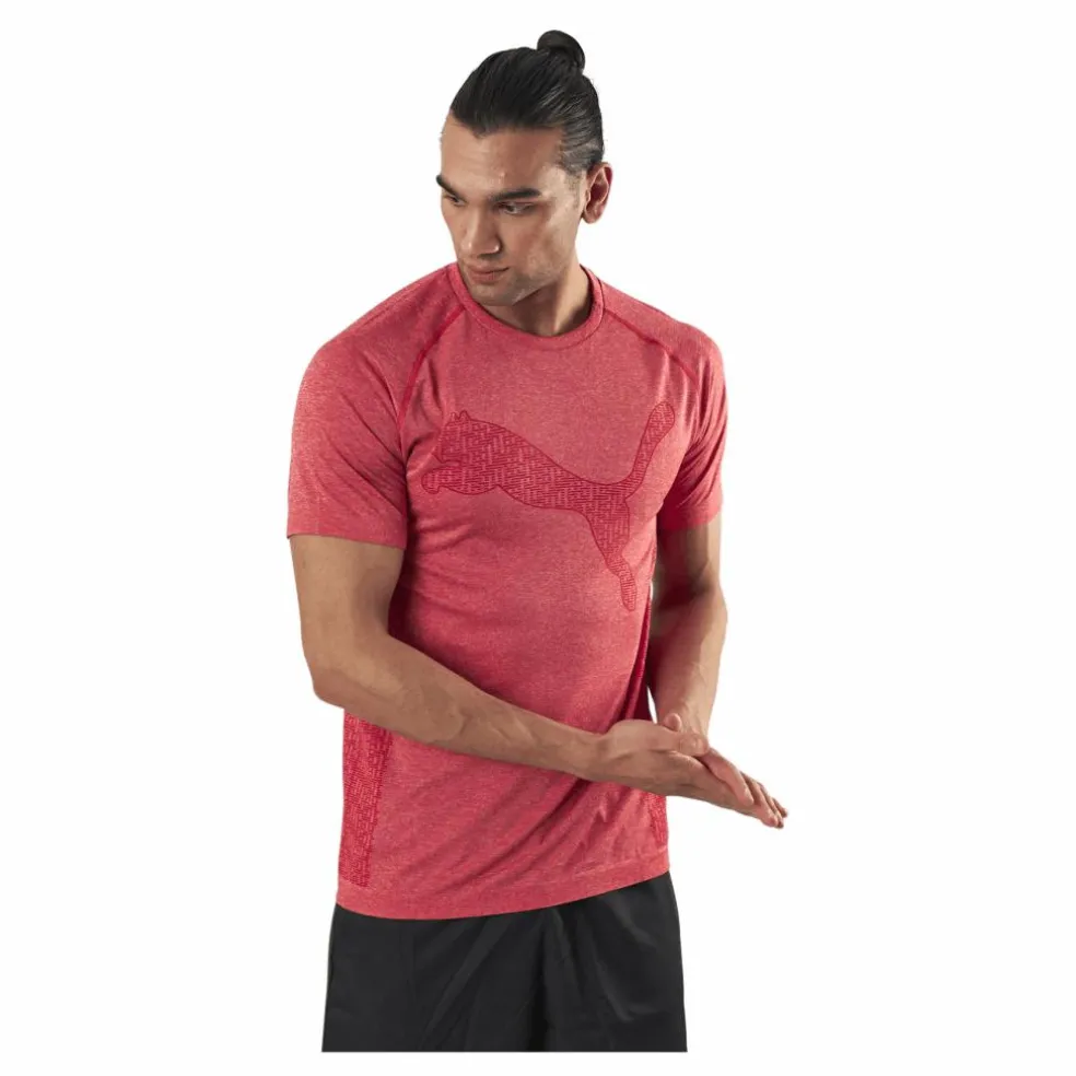 RTG Evoknit Tee Red