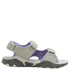 Sandalshine Purple/Grey