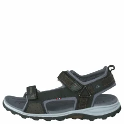 Sandoey Olive/huntinggreen