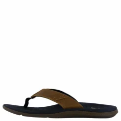 Santa Ana Le Black And Tan