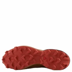 Speedcross 5 Gtx W Sirocco/mocha Mousse/mecca Ora