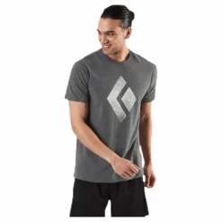 SS Chalked Up Tee Grey