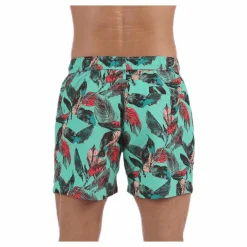 Sylvester Swimshorts Blue/Pink/Green