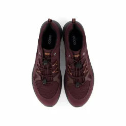 Terracruise II W Fig/fig