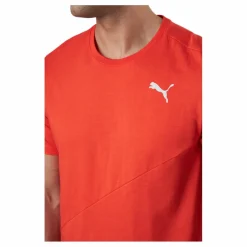 Train Logo Ss Tee Cherry Tomato