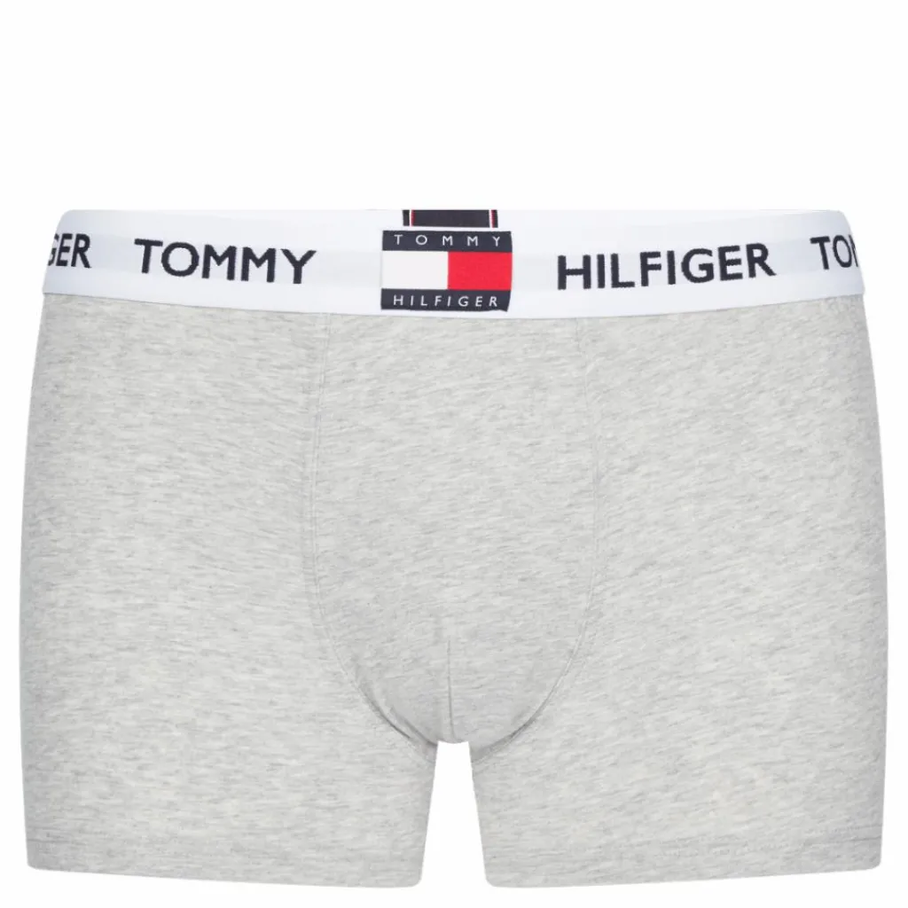 Trunk, P01 Light Grey Heather