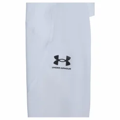 UA HG Armour Leggings