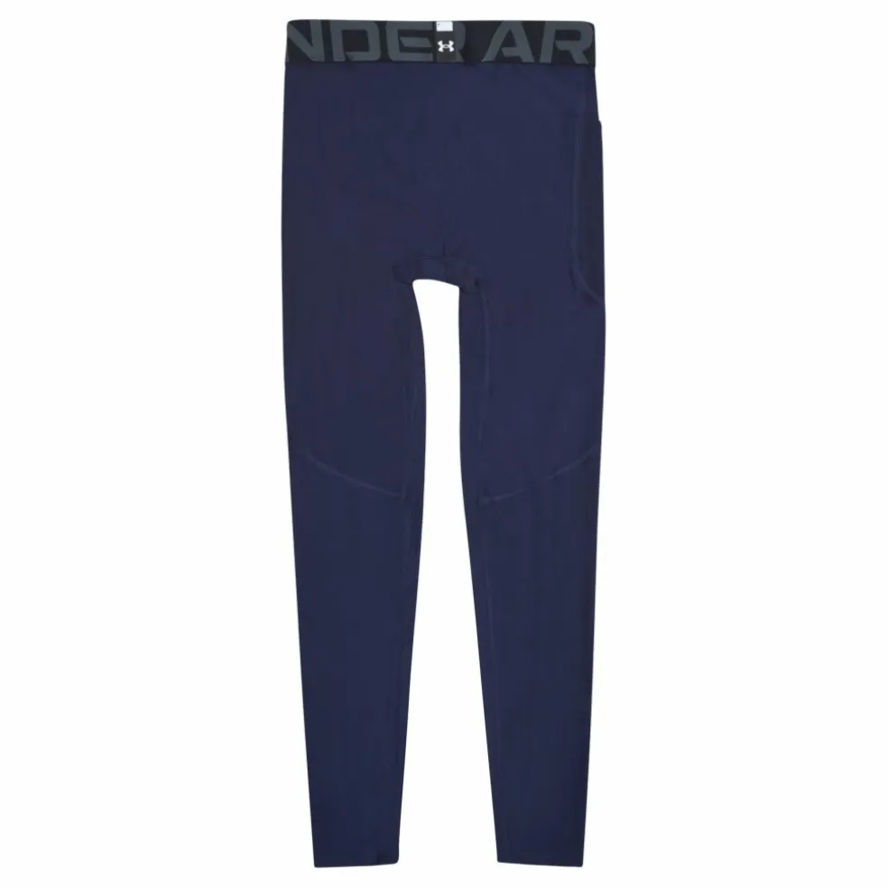UA HG Armour Leggings