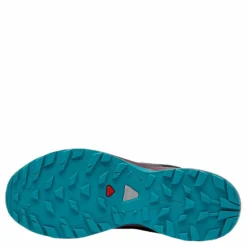 Xa Elevate GTX® Purple/Black